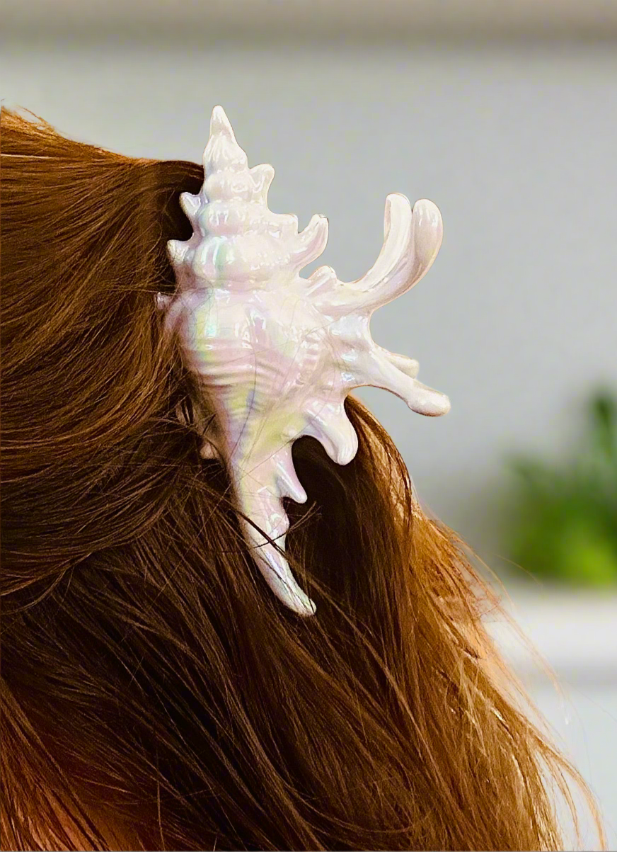 Spiky conch shell