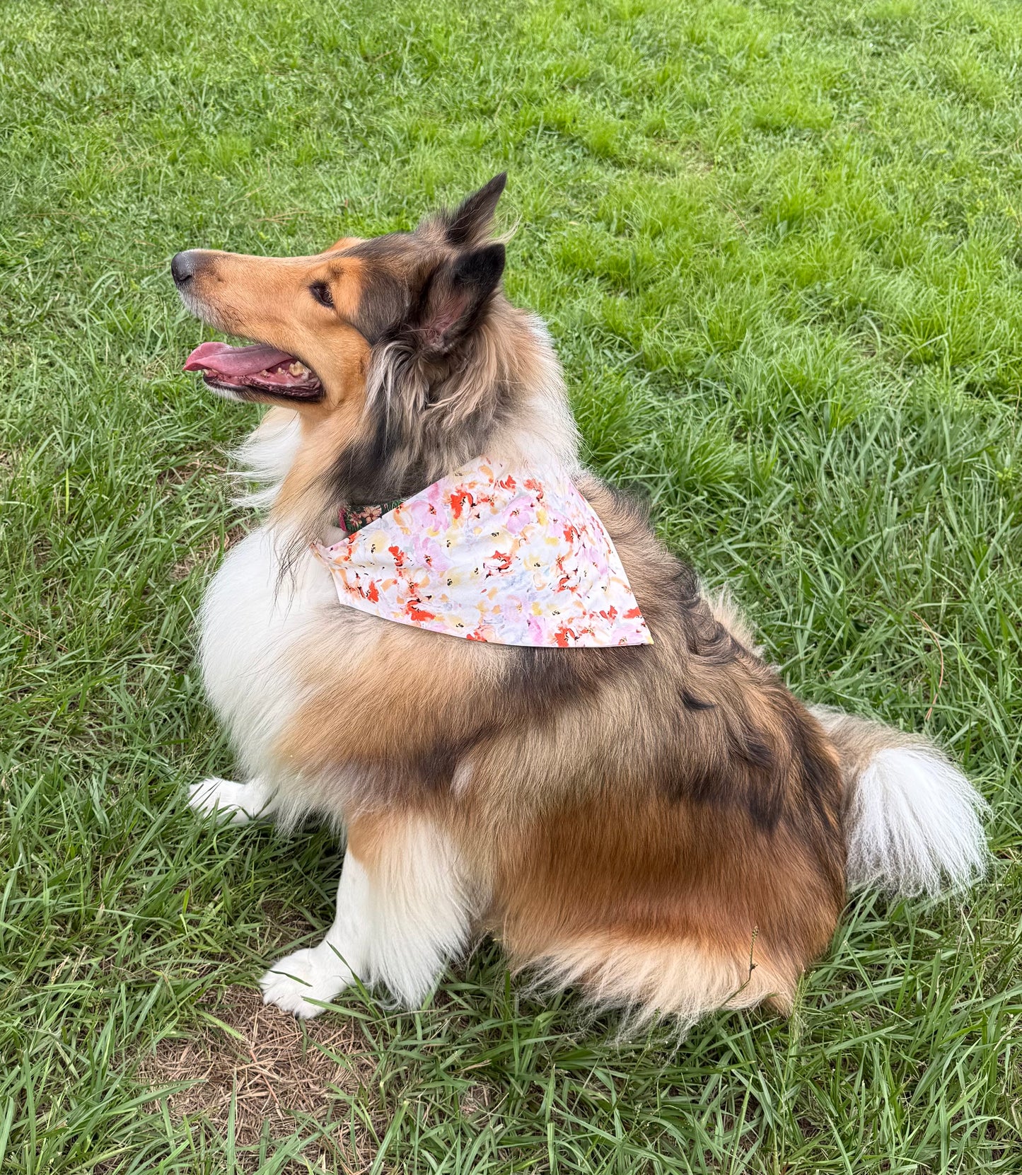 BANDANA