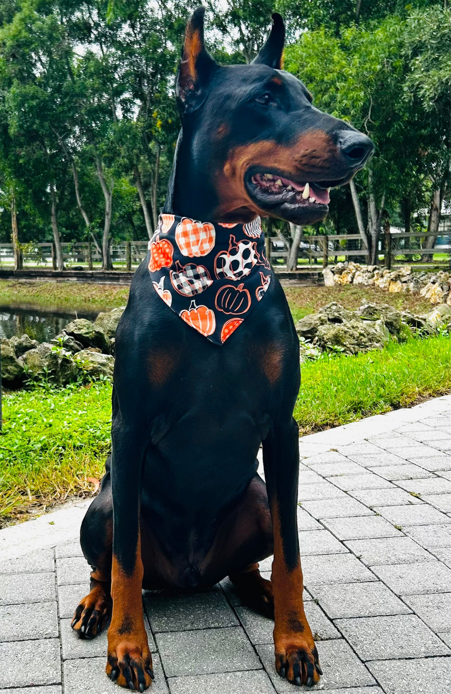 BANDANA