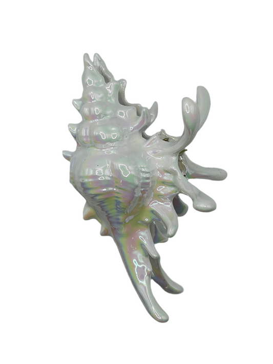 Spiky conch shell